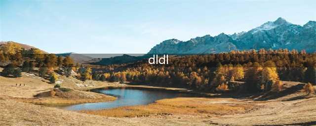 《英雄联盟》dl是什么意思 dl意思介绍