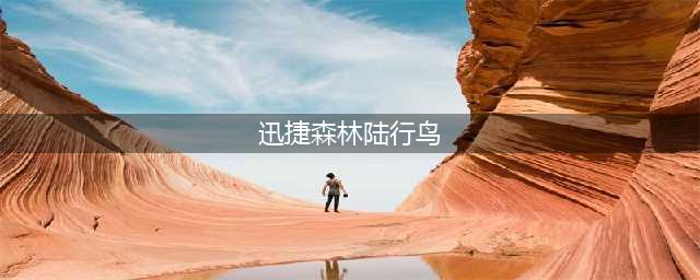《魔兽世界》坐骑迅捷白色陆行鸟怎么获得 坐骑迅捷白色陆行鸟获取攻略(迅捷森林陆行鸟)