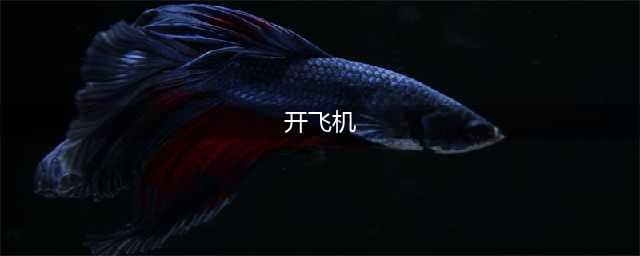 开飞机的游戏大全下载推荐2022 好玩的开飞机手游有什么(开飞机)