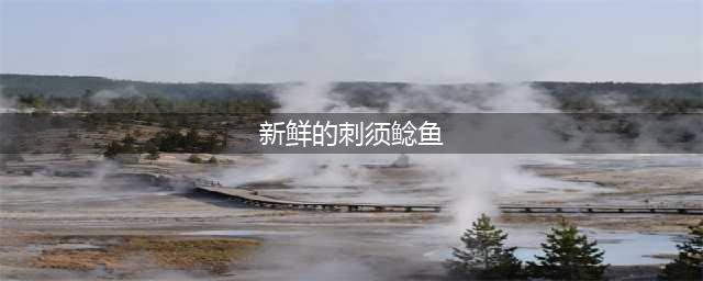 《魔兽世界》新鲜的刺须鲶鱼在哪买 新鲜的刺须鲶鱼购买方法(新鲜的刺须鲶鱼)