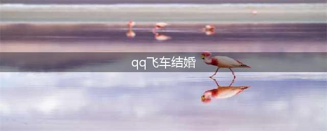 《qq飞车手游》结婚需要什么条件 结婚所需条件一览