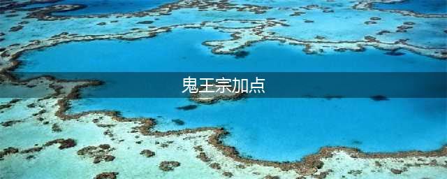 《梦幻新诛仙》鬼王宗怎么加点 鬼王宗加点技巧攻略(鬼王宗加点)