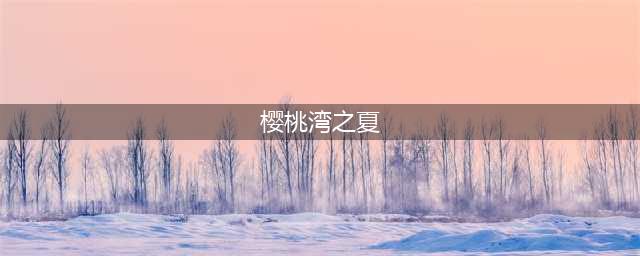 《AKB48樱桃湾之夏》评测：打造你的专属偶像团体(樱桃湾之夏)