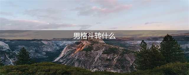 《DNF》男格斗90版本转什么职业好转职推荐(男格斗转什么)