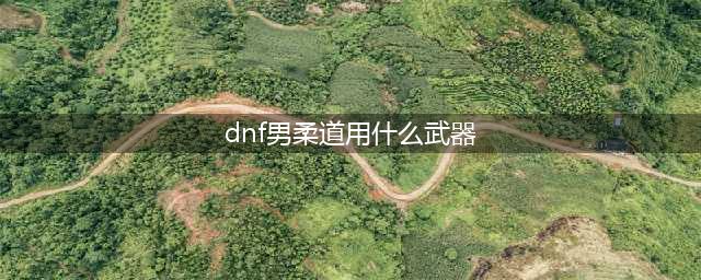《DNF》男柔道CP武器解析(dnf男柔道用什么武器)