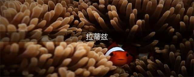 《七龙珠激战传说》拉蒂兹怎么玩 拉蒂兹属性技能攻略详解(拉蒂兹)