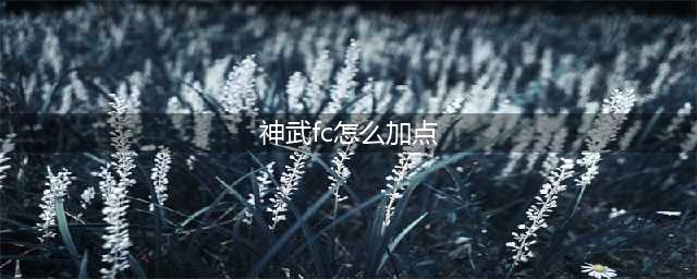 《神武4》手游方寸山怎么加点 七星方寸加点推荐(神武fc怎么加点)