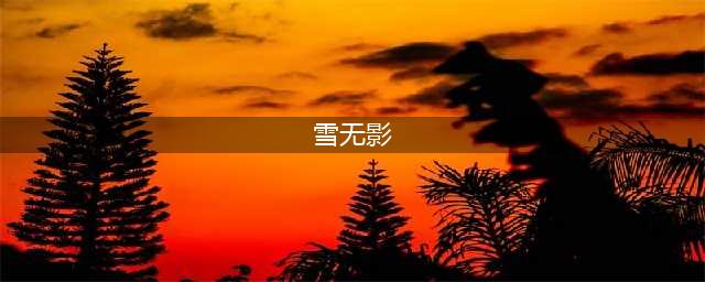 暖雪无影流高伤build参考(雪无影)