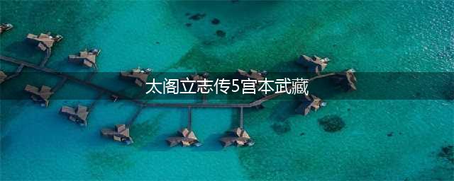 太阁立志传5DX全结局攻略 全结局最简单达成方法(太阁立志传5宫本武藏)