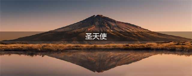 云上城之歌圣天使如何获取 获得流程分享