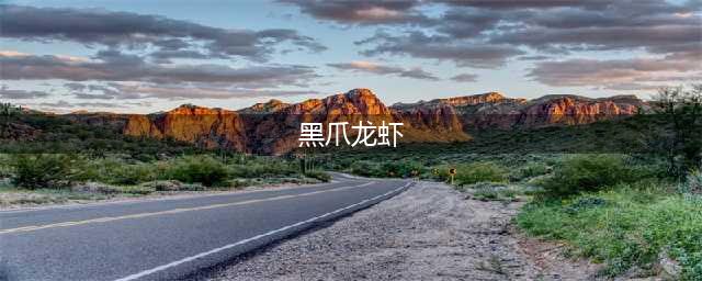 《魔兽世界》黑爪龙虾烹饪配方在哪购买