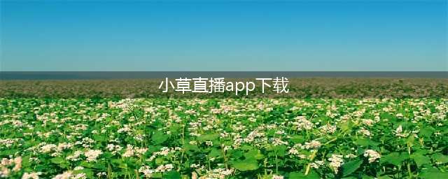 小草播播：走心不走肾 社交从游戏开始(小草直播app下载)