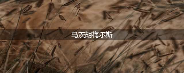 《FIFA online4》马茨·胡梅尔斯怎么样 球员数据分析(马茨胡梅尔斯)