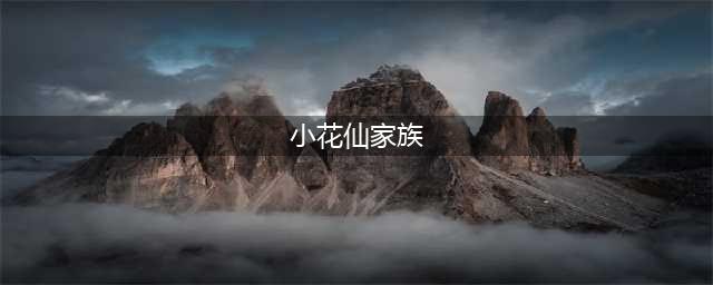 小花仙手游家族职位权限一览