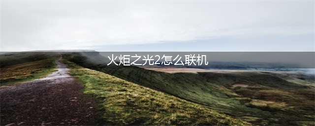 《火炬之光2》如何联机 联机方法分享(火炬之光2怎么联机)
