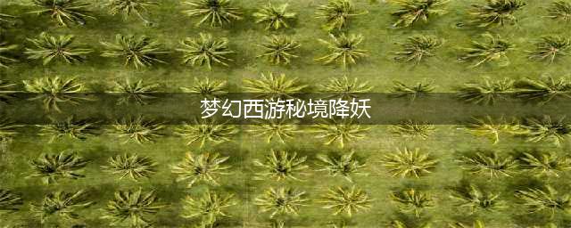 《梦幻西游》秘境降妖副本打法详解 梦幻西游秘境降妖副本打法技巧一览(梦幻西游秘境降妖)