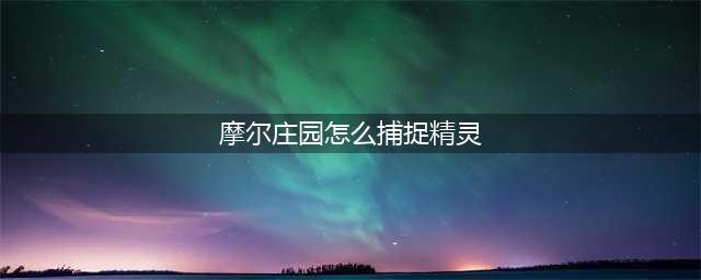 《摩尔庄园手游》捕捉精灵攻略 怎么捕捉精灵
