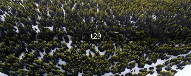 《坦克世界闪击战》T29坦克图鉴 T29怎么样(t29)