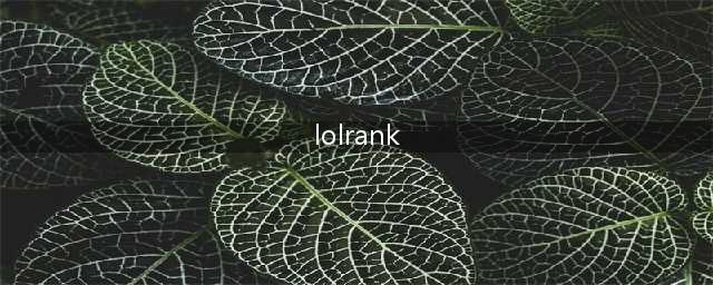 英雄联盟rank啥意思
