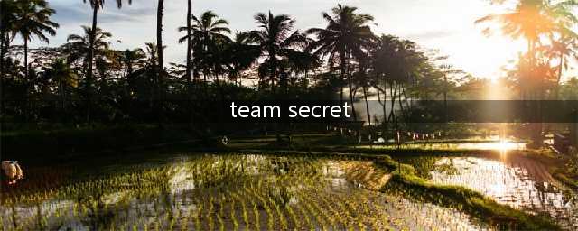 《DOTA2》Secret战队介绍 重庆Major决赛Secret战队阵容怎样(team secret)