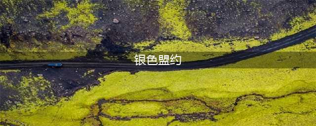 魔兽世界怀旧服wlk银色盟约的胜利任务在哪里接 银色盟约的胜利任务攻略