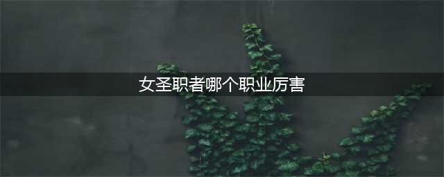 dnf女圣职者四职业排行一览 dnf女圣职者哪个职业强(女圣职者哪个职业厉害)