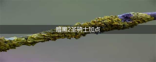 暗黑2圣骑士加点怎么加 圣骑士技能加点攻略