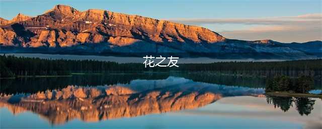 《一梦江湖》小花之友奇遇怎么完成 小花之友奇遇攻略(花之友)