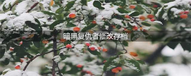 暗黑复仇者2存档修改全技能攻略 如何修改存档？(暗黑复仇者修改存档)