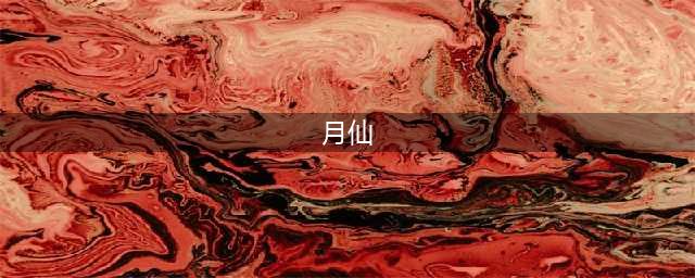 《完美世界》远程输出职业月仙登场！