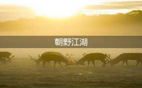 《朝野江湖》新手怎么玩 新手玩法技巧教学(朝野江湖)