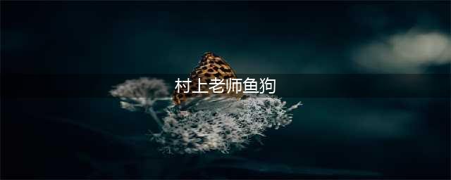 《乡村老师》稀有鱼如何钓 稀有鱼钓取攻略(村上老师鱼狗)
