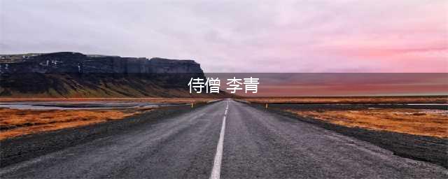 《英雄联盟LOL》防弹武僧李青怎么样 皮肤外观介绍