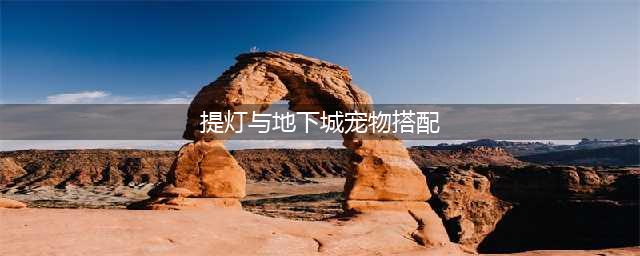 《提灯与地下城》宠物搭配技巧分享 宠物最佳搭配推荐(提灯与地下城宠物搭配)