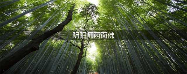 《阴阳师》SP两面佛是什么式神 SP两面佛式神介绍(阴阳师两面佛)