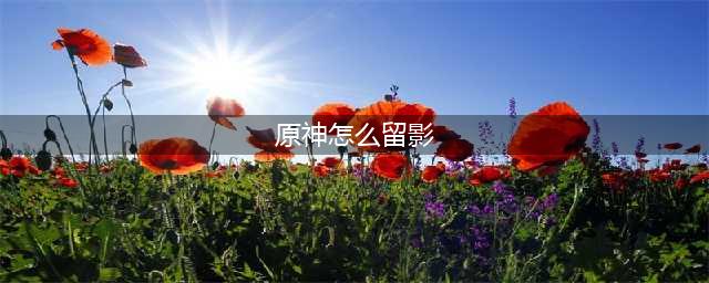 《原神》七大元素留影图文教程