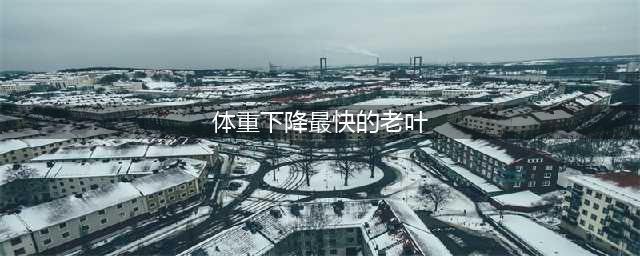 逆水寒此间的老叶NPC位置介绍(体重下降最快的老叶)