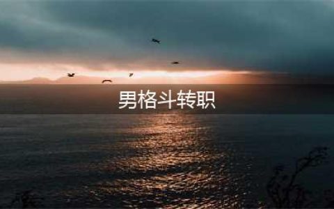 《DNF》男格斗90版本转什么职业好转职推荐(男格斗转职)