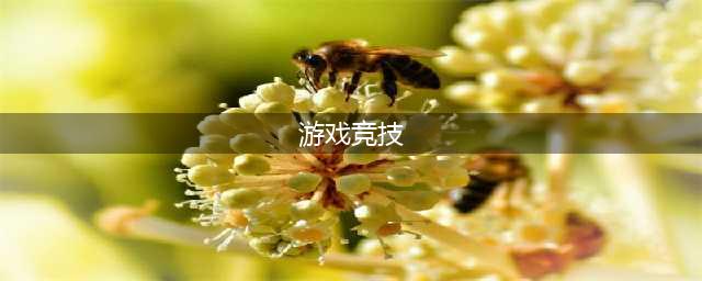 竞技游戏网游手游排行榜前十名推荐2021 最公平激烈竞技游戏推荐(游戏竞技)