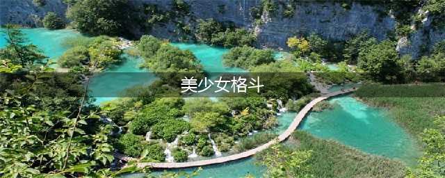 美少女格斗游戏有哪些好玩推荐2021 好玩的美少女格斗游戏有哪些(美少女格斗)