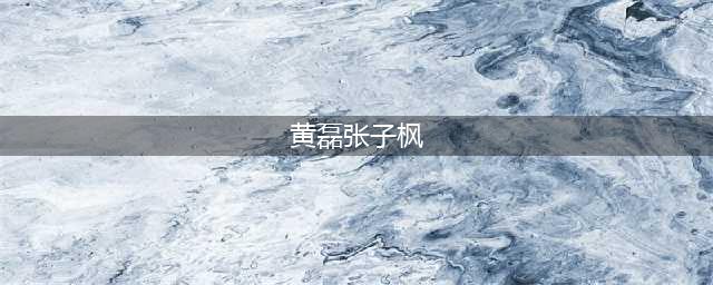 张子枫和黄磊是什么关系 传闻两人关系暧昧(黄磊张子枫)