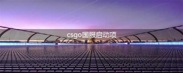 csgo国服启动项代码是什么 国服启动项代码分享(csgo国服启动项)