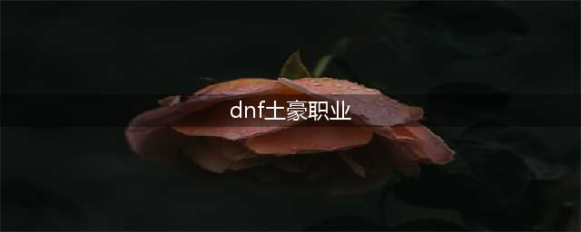 《DNF手游》土豪玩什么职业好 土豪最强职业选择推荐(dnf土豪职业)