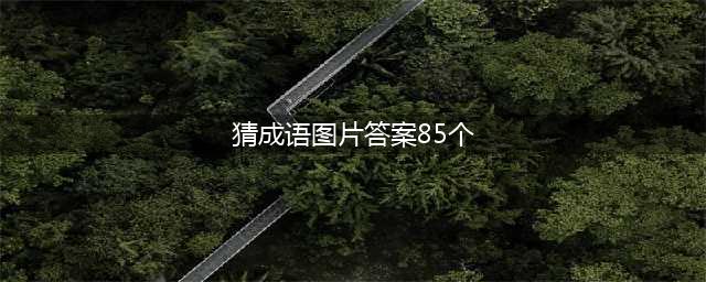 《看图猜成语》答案及图片汇总 所有关卡答案大全(猜成语图片答案85个)