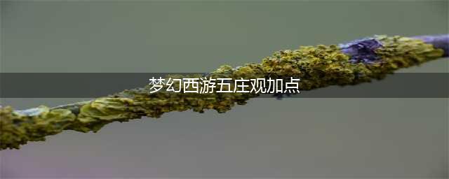 《梦幻西游》五庄观怎么加点好 五庄观加点技巧攻略(梦幻西游五庄观加点)