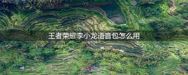 《王者荣耀》李小龙粤语语音包使用教程 李小龙粤语语音包切换方法(王者荣耀李小龙语音包怎么用)