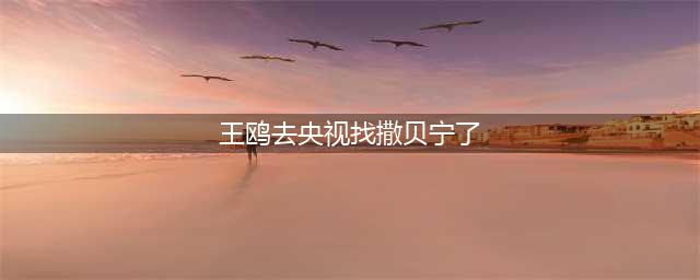 王鸥被曝出轨刘恺威后，又被爆料插足撒贝宁的婚姻，是真的吗(王鸥去央视找撒贝宁了)