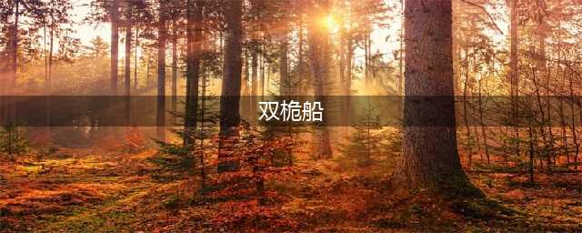 《盗贼之海》双桅帆船怎么玩 双桅帆船玩法技巧(双桅船)