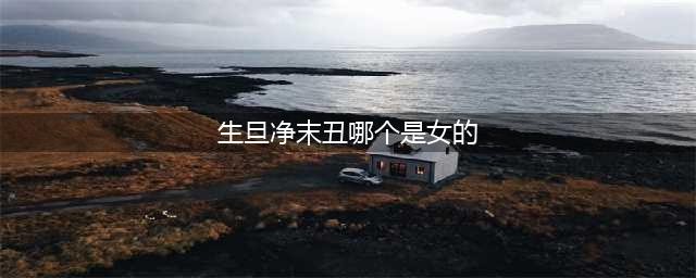 《诛仙》手游文曲初试答案 生旦净末丑中哪个专指女性角色(生旦净末丑哪个是女的)