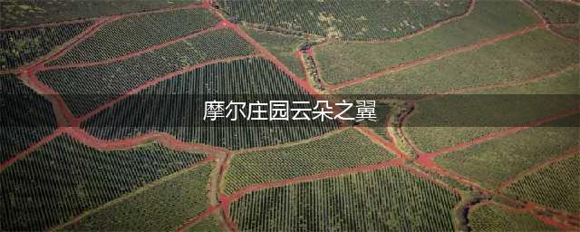 摩尔庄园手游2023年1月最新脚印位置一览
